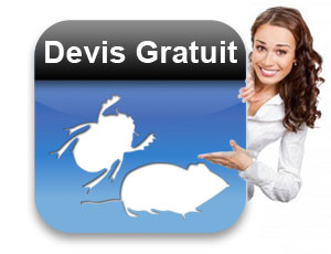 devis-gratuit