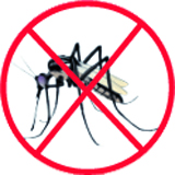 Solution anti moustiques marrakech