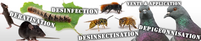 Société de Dératisation Désinsectisation Désinfection Marrakech Maroc