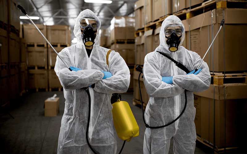 Les 4 Meilleurs Traitements de Désinsectisation à Marrakech