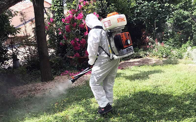 Traitement anti-moustiques à Marrakech