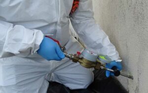 Traitement termites à Marrakech